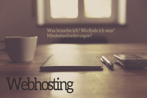 Netzsieger Beitrag zu Webhosting